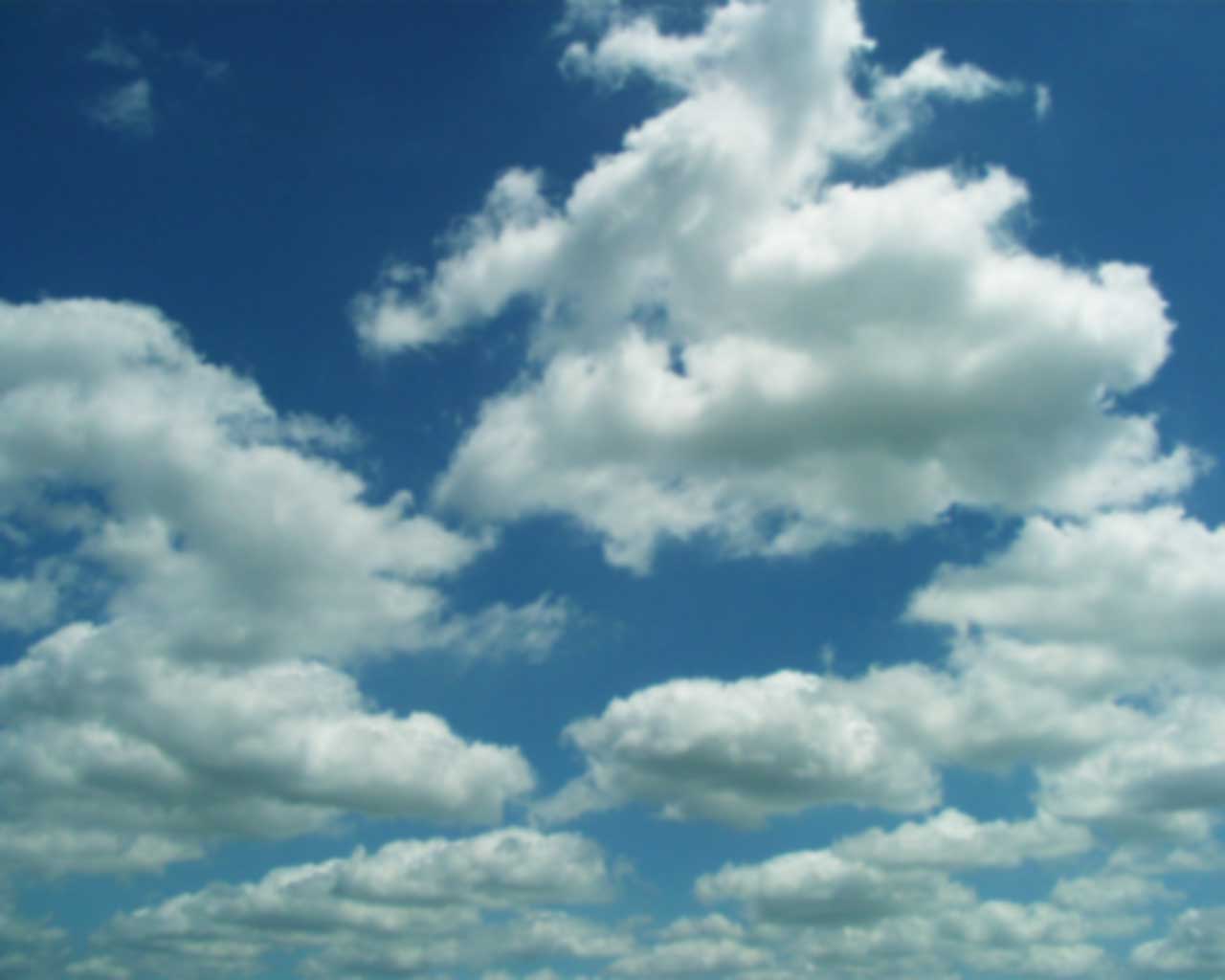 Banner Image 3
